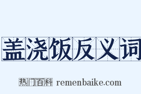 盖浇饭反义词是什么意思的图片